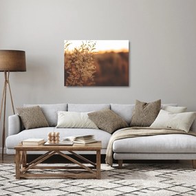 Tablou pe sticlă - Iarba înflorită (70x50 cm)