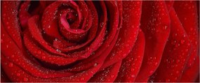 Tablou - detaliu de trandafir (120x50 cm)