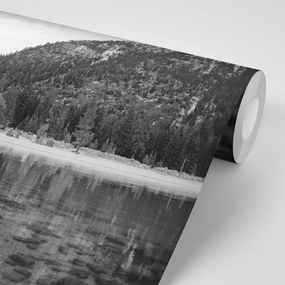 Fototapet lac înconjurat de natură în alb-negru