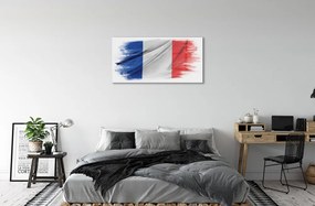 Tablouri acrilice steagul Franței
