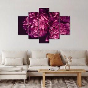 Tablou - Floarea bujorului (150x105 cm)