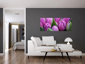 Tablou - florile lalelelor (120x50 cm)
