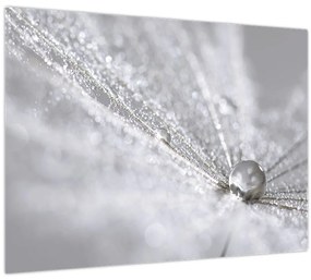 Tablou - Picătură de apă (70x50 cm)