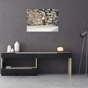 Tablou - Cal în peisaj de iarnă (70x50 cm)