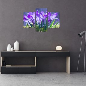 Tablou cuflori în ploaie (90x60 cm)