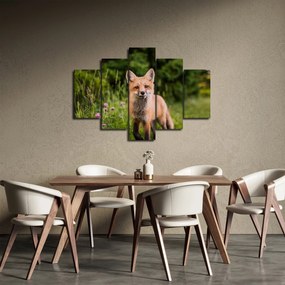Tablou cu vulpe (150x105 cm)