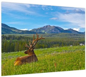 Tablou - Cerb în luncă (70x50 cm)