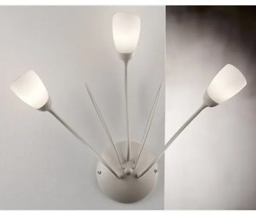 Jupiter 2064 - Aplică de perete GLORIOSA 3xG9/14W/230V, crem