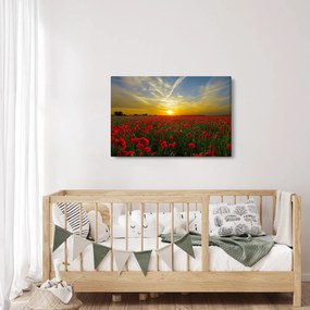 Tablou cu câmp cu maci (90x60 cm)