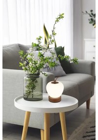 Globo 21011 - Lampă de birou LED reglabilă EVALINA LED/2W/3,7V