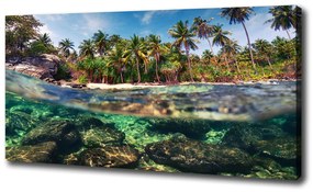 Print pe canvas Plaja tropicala