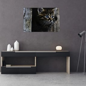 Tablou cu pisicuța (90x60 cm)