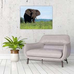 Tablou pe sticlă cu elefant (70x50 cm)