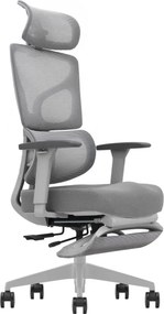 ERGO D-GT5-GHL-04 – Scaun Ergonomic Premium, Suport Lombar cu arc, Cotiere 3D, Tetieră reglabilă, Șezut Glisant, Suport pentru picioare extensibil, Gri