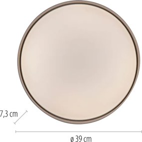 Schöner Wohnen 14594-39 - plafonieră LED dimabilă TAVOLI LED/20W/230V gri + telecomandă