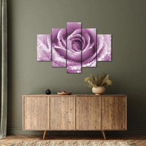Tablou detaliu de floare de trandafir (150x105 cm)