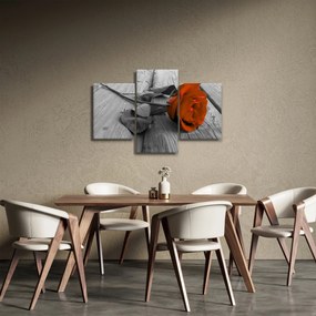 Tablou - Trandafir portocaliu (90x60 cm)