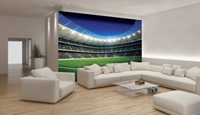Fototapet - Stadion de fodbal (254x184 cm), în 8 de alte dimensiuni noi