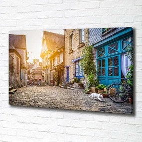 Tablou canvas Stradă fermecătoare