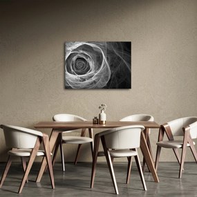 Tablou - Abstract trandafir negru și alb (70x50 cm)