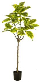 Ficus artificial Elastica Verde-Galben - 145 cm