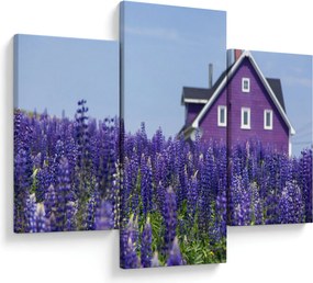 Tablou cu câmp de lavanda (90x60 cm)