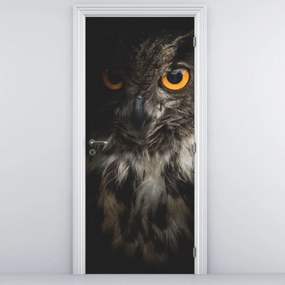 Fototapet pentru ușă - Bufnița (95x205cm)