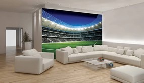 Fototapet - Stadion de fodbal (254x184 cm)