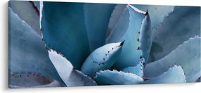 Tablou - Agave (120x50 cm)