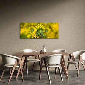 Tablou cu floarea soarelui (120x50 cm)