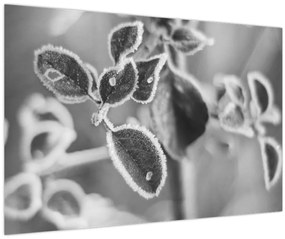 Tablou - Natura în toamnă (90x60 cm)