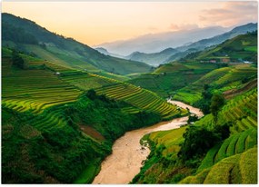 Tablou - Terase de orez II. (70x50 cm)