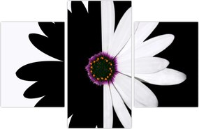 Tablou - Floare, alb- negru (90x60 cm)