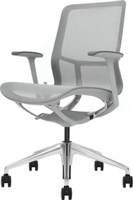 Emily Grey Ergo F5-G01 – Scaun ergonomic premium, Mesh respirabil 4D, înclinare cu blocare, înălțime reglabila, cadru din nylon, bază din aluminiu, Gri