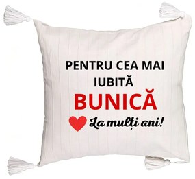 Perna Decorativa cu Franjuri pentru Bunica 16, 45x45 cm, Cu fermoar