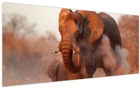 Tablou - Marele elefant african (120x50 cm)