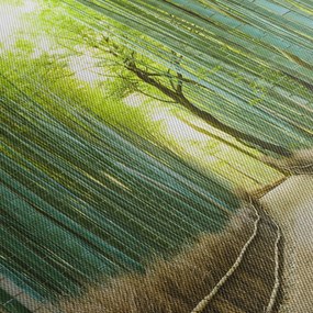 Tablou - Pădure de bambus (90x60 cm)
