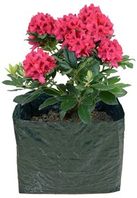 Pat ridicat de plante – Garden Pleasure