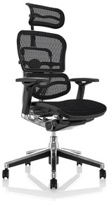 Scaun de birou - ERGOHUMAN Mesh Negru - precomanda 7-12 zile (Termen de livrare: 7 zile)