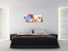 Tablou cu macii (120x50 cm)