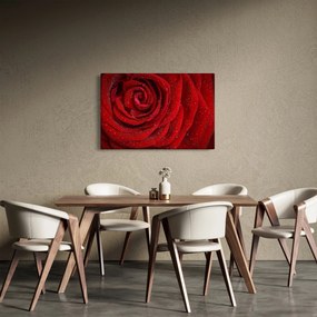 Tablou - detaliu de trandafir (90x60 cm)