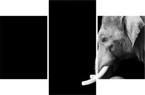 Tablou - Elefant (90x60 cm)