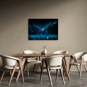 Tablou pe sticlă cu bufnița zburând (70x50 cm)