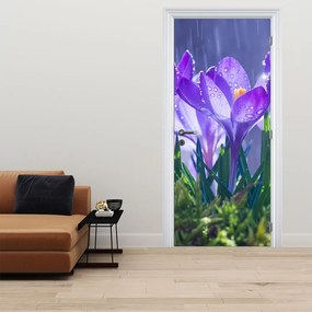 Fototapet pentru ușă - Flori în ploaie (95x205cm)