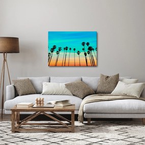 Tablou - California (70x50 cm)