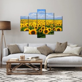 Tablou cu lan de floarea soarelui (150x105 cm)