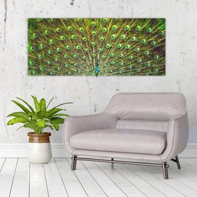 Tablou - Peacock (120x50 cm)
