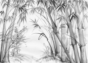 Tablou pe sticlă - Pădure de bambus (70x50 cm)