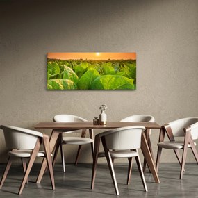 Tablou - Câmp (120x50 cm)