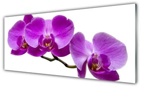 Panou sticla bucatarie Flori Floral Violet Maro